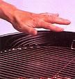 tn_src_gril-1